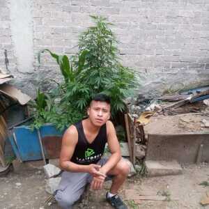 ehjaibeffeabedad