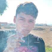 pancho242