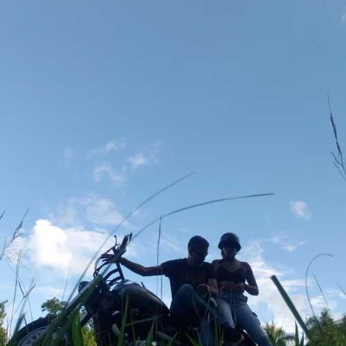 wilfredohbihmartcga