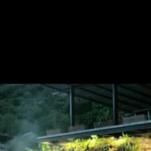 guerreror345