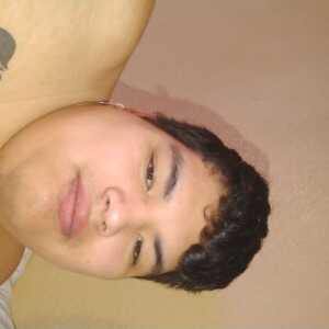 Willi230