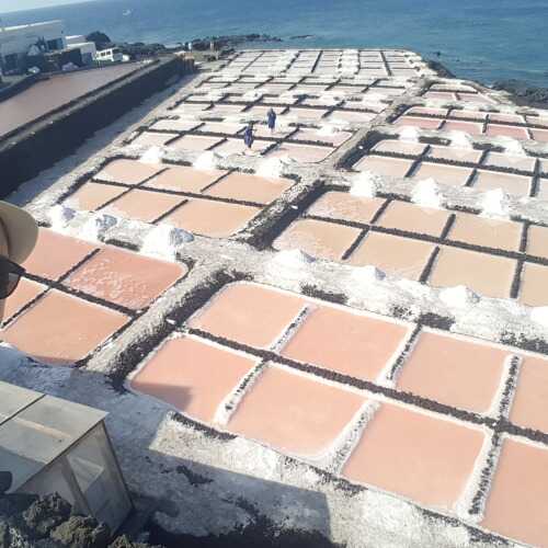 Chicotenerife32