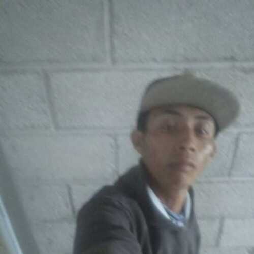 Alejans569