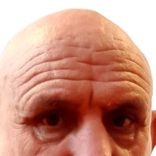 ardvark12
