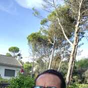 Ricardo