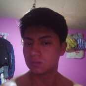 yanchaguanobr304