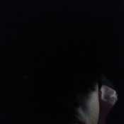 Hotohal