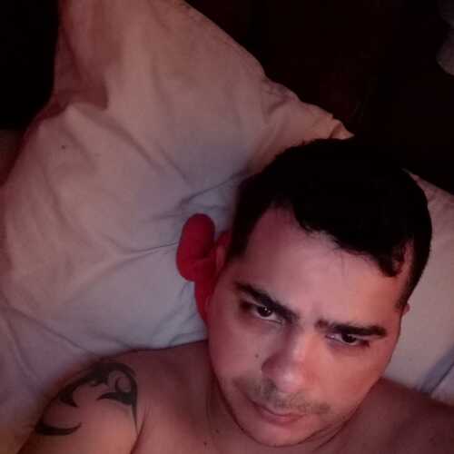 sergasalfo162