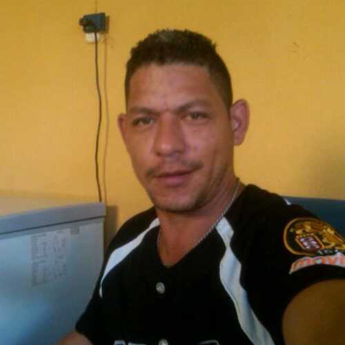 brach183