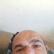 Camarón
