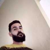 fidelbat186