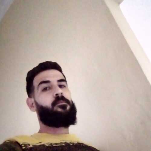 fidelbat186