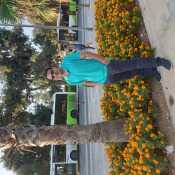 kareem333