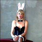 bunnyswallow088