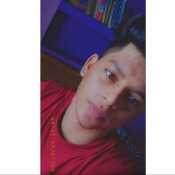 alok4720