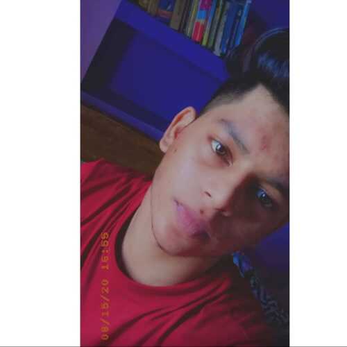 alok4720