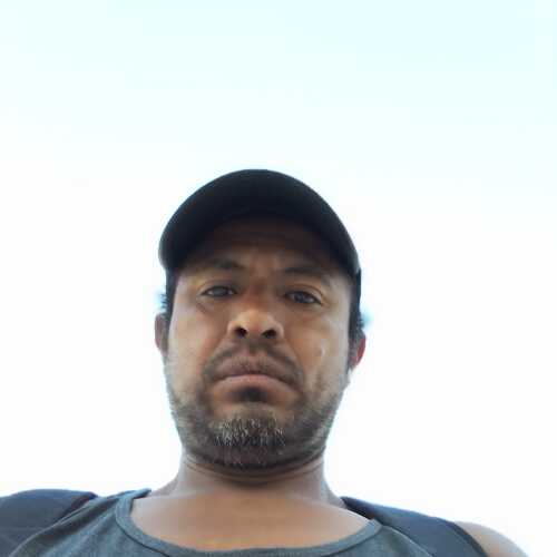 luisi459
