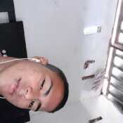 Elvisbrog