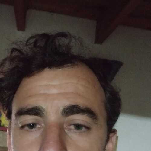 Pato