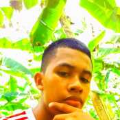 sebastiannarvaezurbi374