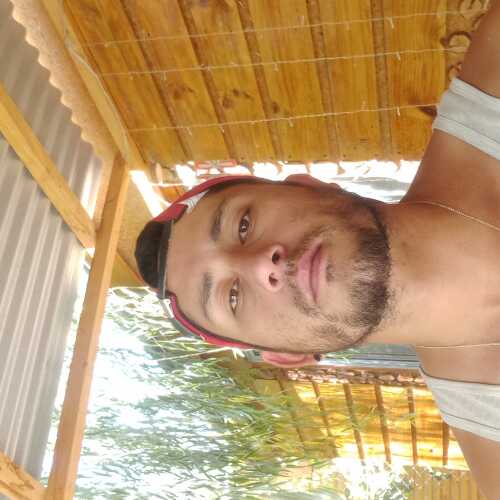 Seba503