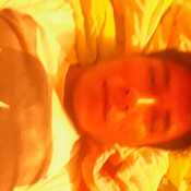alex555loxbl