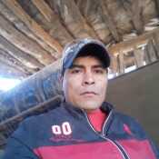 poncebeli691