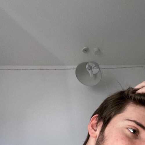 edward388Bris
