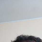 Felipp20