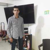lvin893