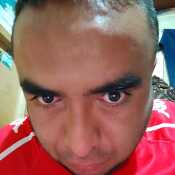 omlet168