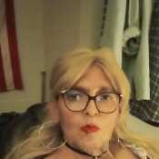 Stacyrea
