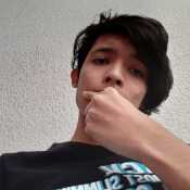 pedrinsq391