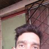 Mandril3609