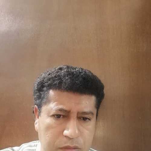 manol849