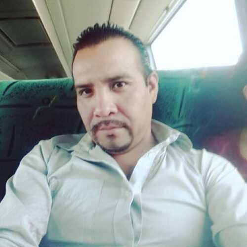 tazf11