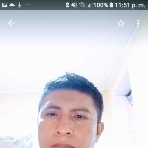 Cachorro2816