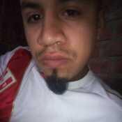frank2469