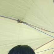Beatriz 