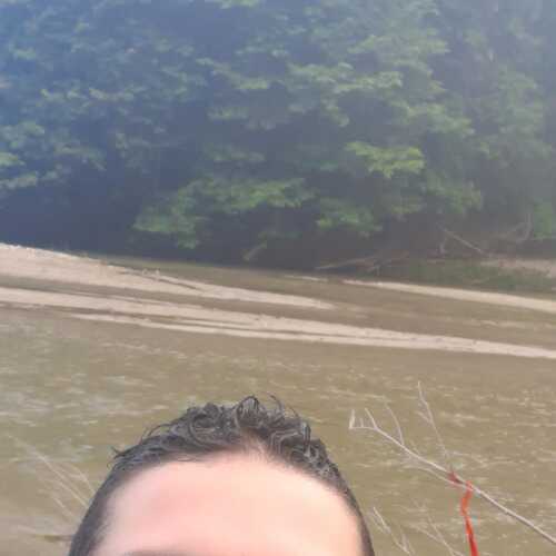 santico14