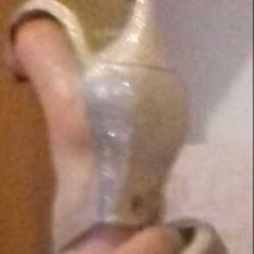 HornyTransexual123