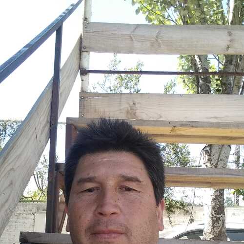carloscarrascolo697