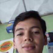adonisva386