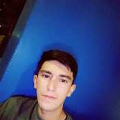 oscaralar607
