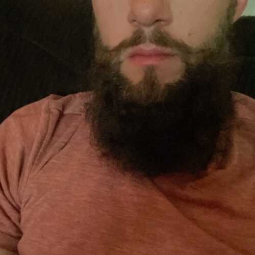 Beardedsatyr