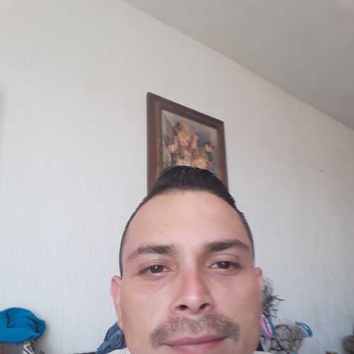 ramo286