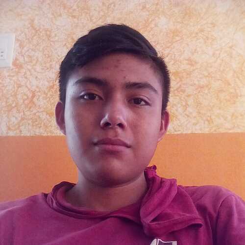 alber0541