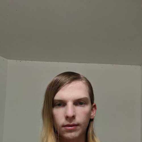 Phoxxydasissy