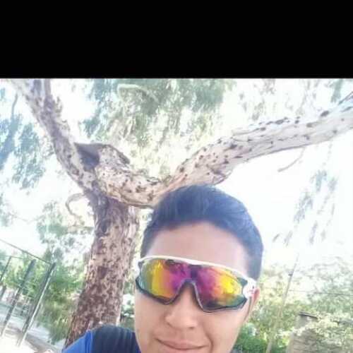 alexan613