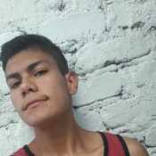 mesiasnova